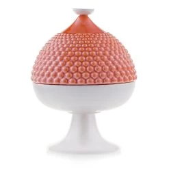 Scatola Con Coperchio Segnali Di Pumo Arancione 22x28cm