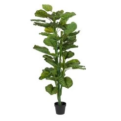 Enzo De Gasperi Pianta Artificiale Calathea Con Vaso H150cm 7 Enzo De Gasperi Pianta Artificiale Calathea Con Vaso H150cm -Negozio Di Mobili enzo de gasperi pianta artificiale calathea con vaso h150cm 2