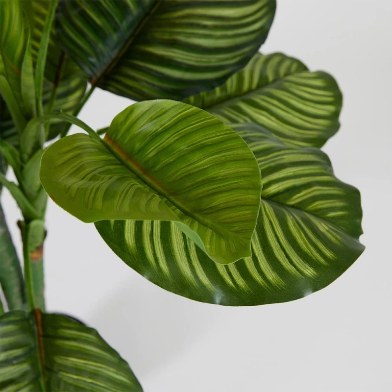 Enzo De Gasperi Pianta Artificiale Calathea Con Vaso H150cm 3 Enzo De Gasperi Pianta Artificiale Calathea Con Vaso H150cm