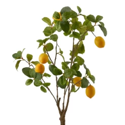 Enzo De Gasperi Pianta Limone Artificiale H78cm