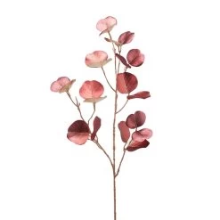 Enzo De Gasperi Ramo Eucalipto Metallizzato Granata H84cm