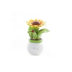 Pianta Allegra Girasole Piccola H15cm