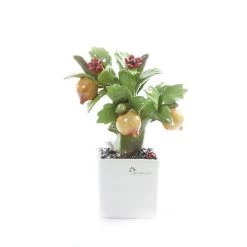 Pianta In Porcellana Melograno Bonsai Piccolo H18cm