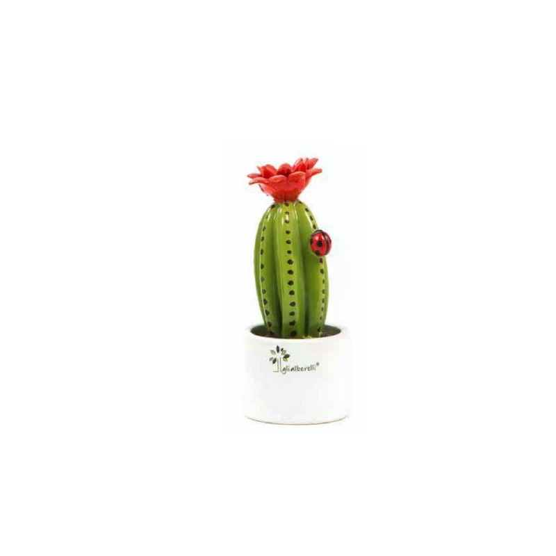 Piantina Grassa Cactus Mignon H14cm 3 Piantina Grassa Cactus Mignon H14cm