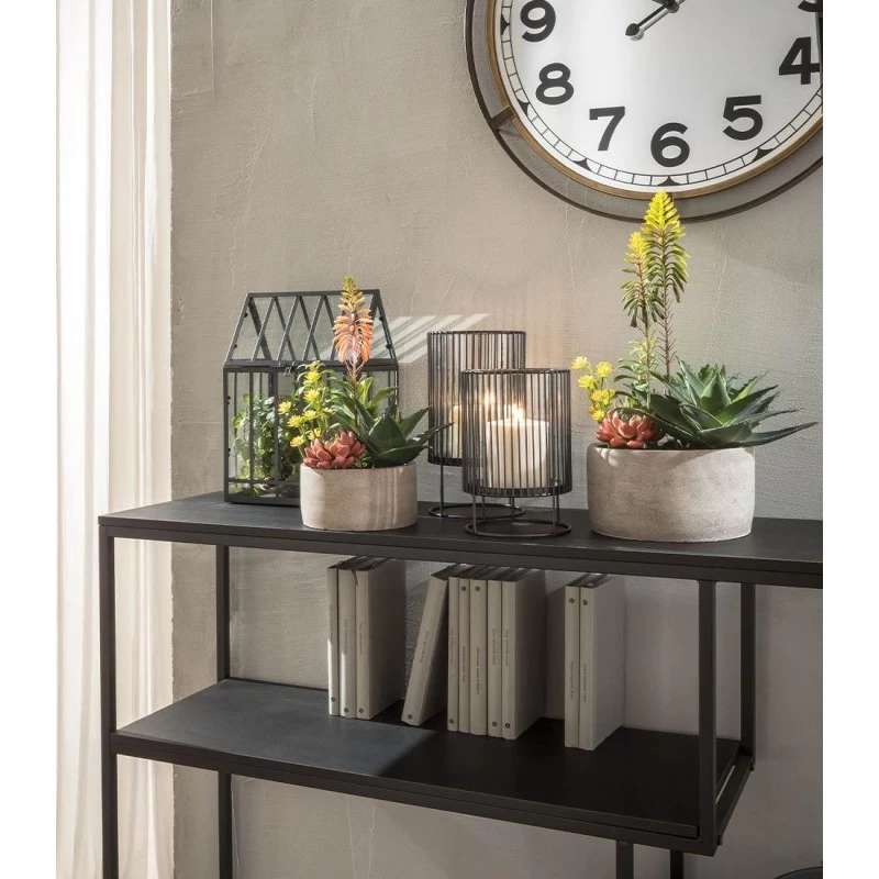 Composizione Piante Grasse Grande Ø20x42cm 4 Composizione Piante Grasse Grande Ø20x42cm - immagine 2