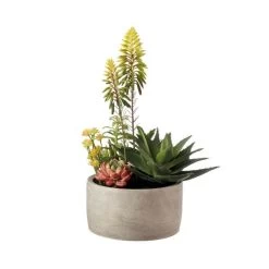 Composizione Piante Grasse Grande Ø20x42cm 8 Composizione Piante Grasse Grande Ø20x42cm -Negozio Di Mobili l oca nera composizione piante grasse grande o20x42cm 2