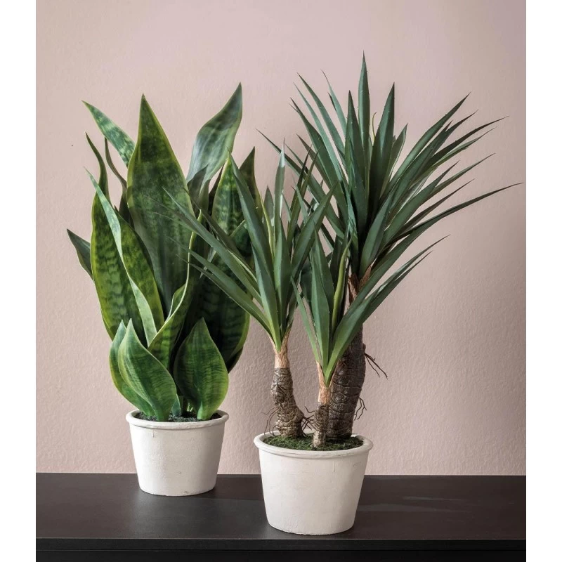 Pianta Sanseveria Finta Con Vaso H57cm 4 Pianta Sanseveria Finta Con Vaso H57cm - immagine 2
