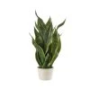Pianta Sanseveria Finta Con Vaso H57cm 2 Pianta Sanseveria Finta Con Vaso H57cm -Negozio Di Mobili l oca nera pianta sanseveria finta con vaso h57cm