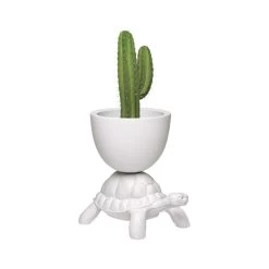 Portapiante E Cooler Turtle Carry White -Negozio Di Mobili qeeboo portapiante e cooler turtle carry white 2