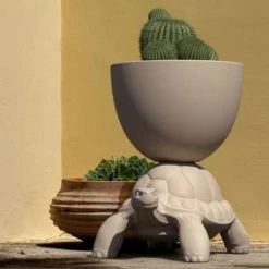 Portapiante E Cooler Turtle Carry White