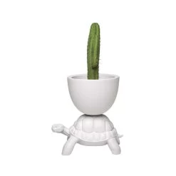 Portapiante E Cooler Turtle Carry White -Negozio Di Mobili qeeboo portapiante e cooler turtle carry white 3